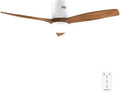 Ventilateur de Plafond 132 cm Cecotec avec LED et Télécommande - EnergySilence Aero 5600